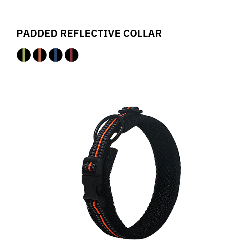 Pet Collar